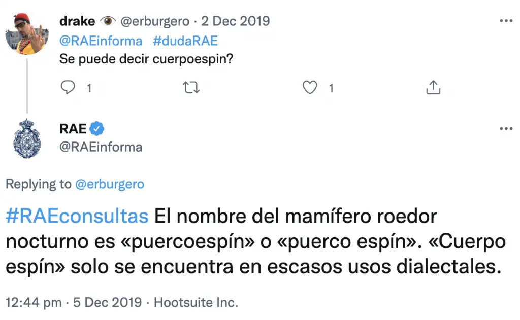 puerco espin o cuerpo espin